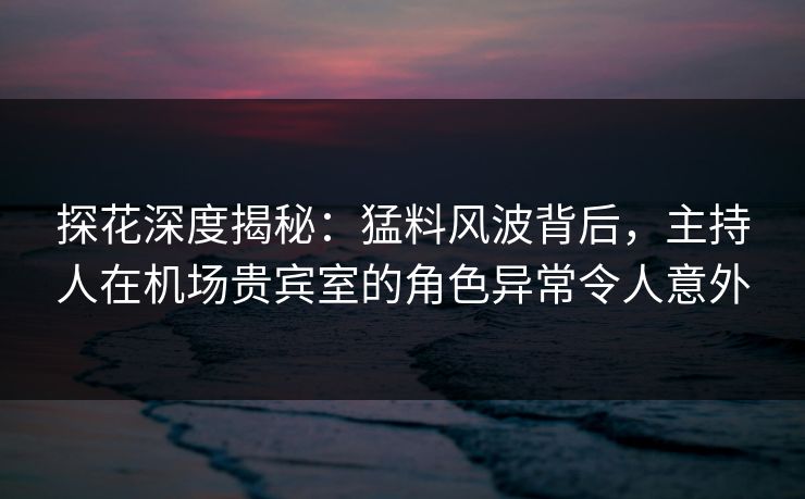 探花深度揭秘：猛料风波背后，主持人在机场贵宾室的角色异常令人意外