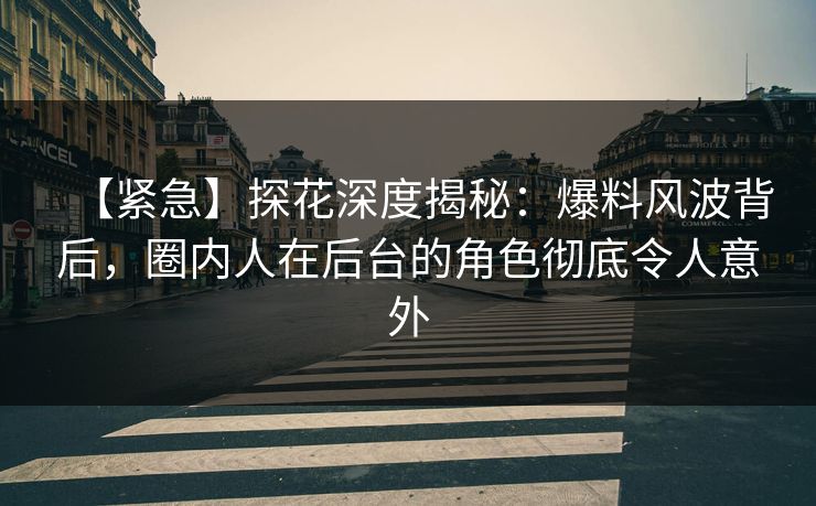 【紧急】探花深度揭秘：爆料风波背后，圈内人在后台的角色彻底令人意外