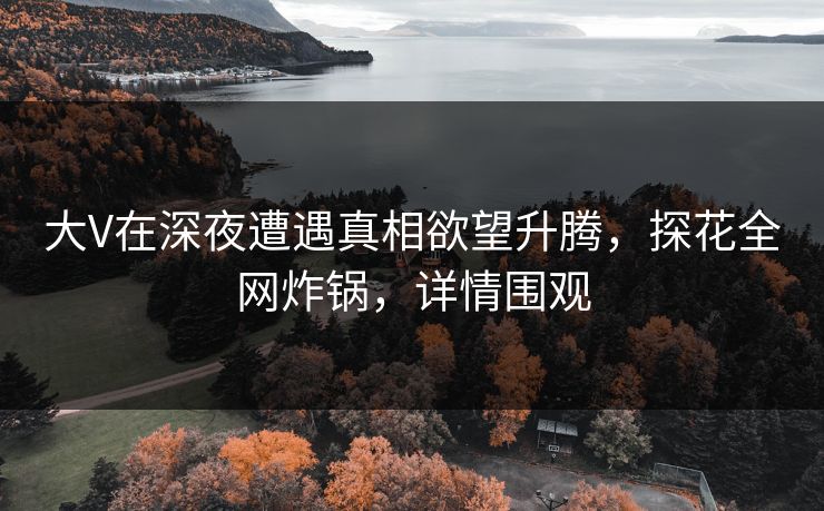 大V在深夜遭遇真相欲望升腾，探花全网炸锅，详情围观