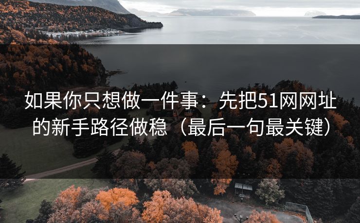 如果你只想做一件事:先把51网网址的新手路径做稳(最后一句最关键) 如果你只想做一件事:先把51网网址的新手路径做稳(最后一句最关键)